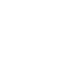 security-icon